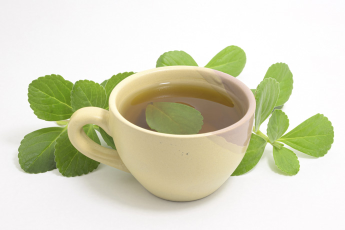 Té de boldo.